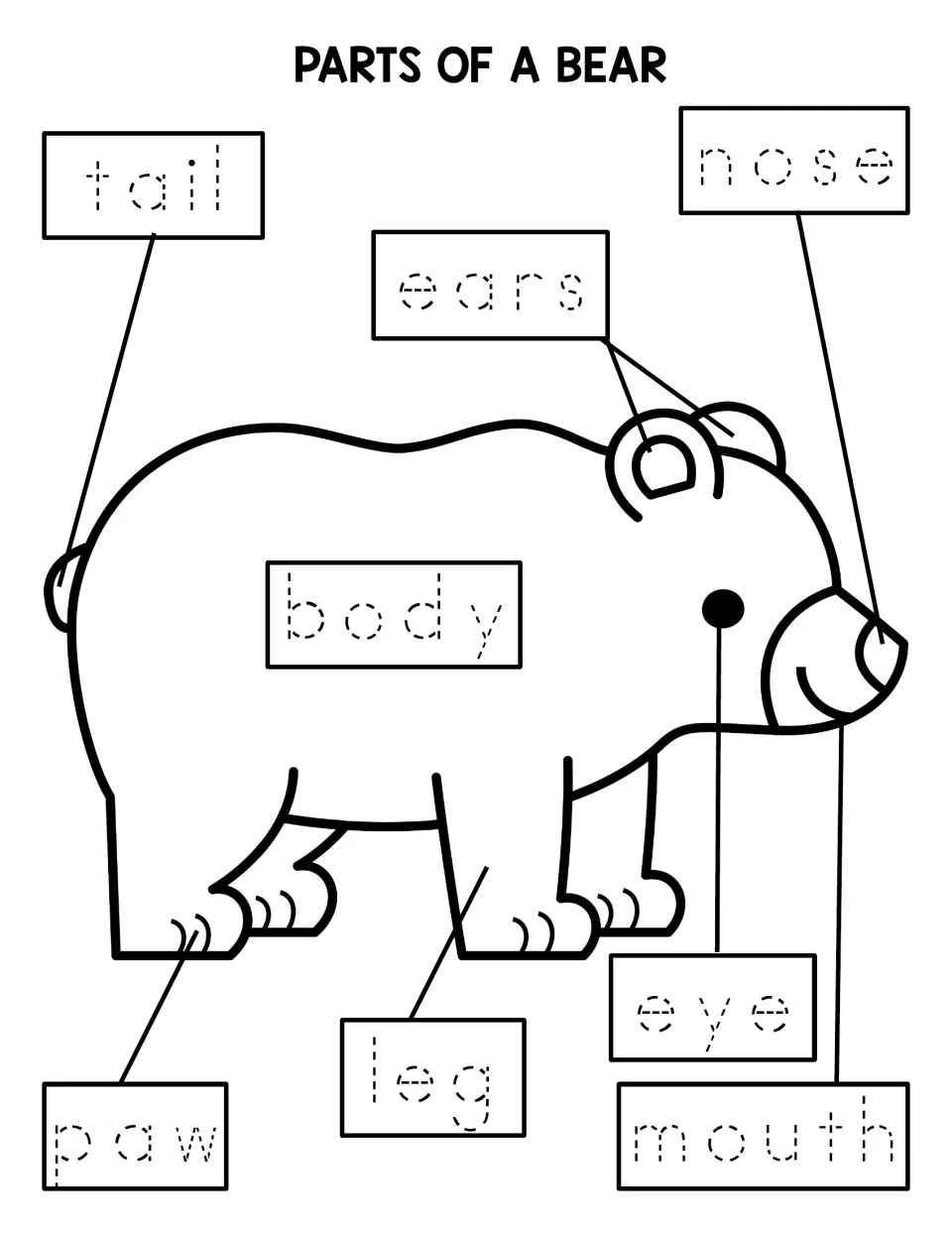 Bear labeling worksheet with traceable words: tail, ears, nose, body, paw, leg, eye, and mouth.