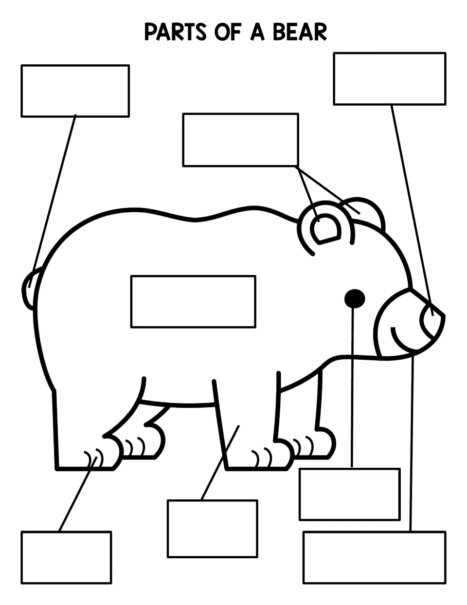 Bear labeling worksheet for writing eight body-part names, using the labeled poster as a reference.