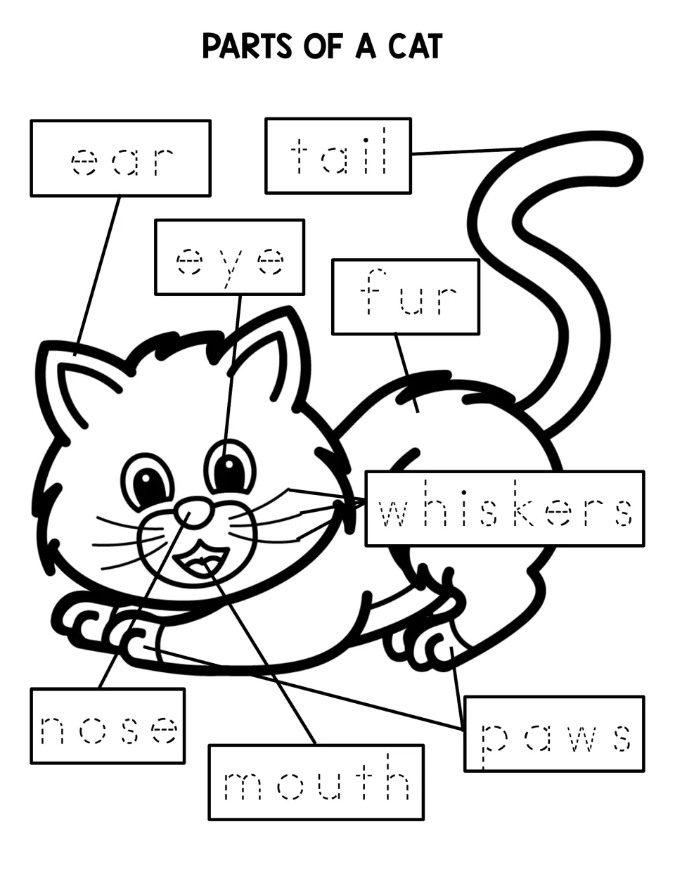 Cat body parts tracing: students trace the dotted words ear, eye, nose, mouth, whiskers, fur, tail and paws on a cat