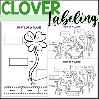 Parts of a Clover: Labeling a Clover Plant – cover