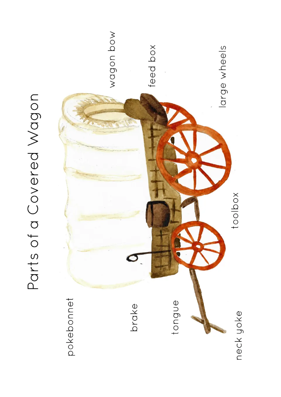 Parts of a Covered Wagon poster: watercolor wagon labelled pokebonnet, wagon bow, feed box, wheels, toolbox, brake, tongue