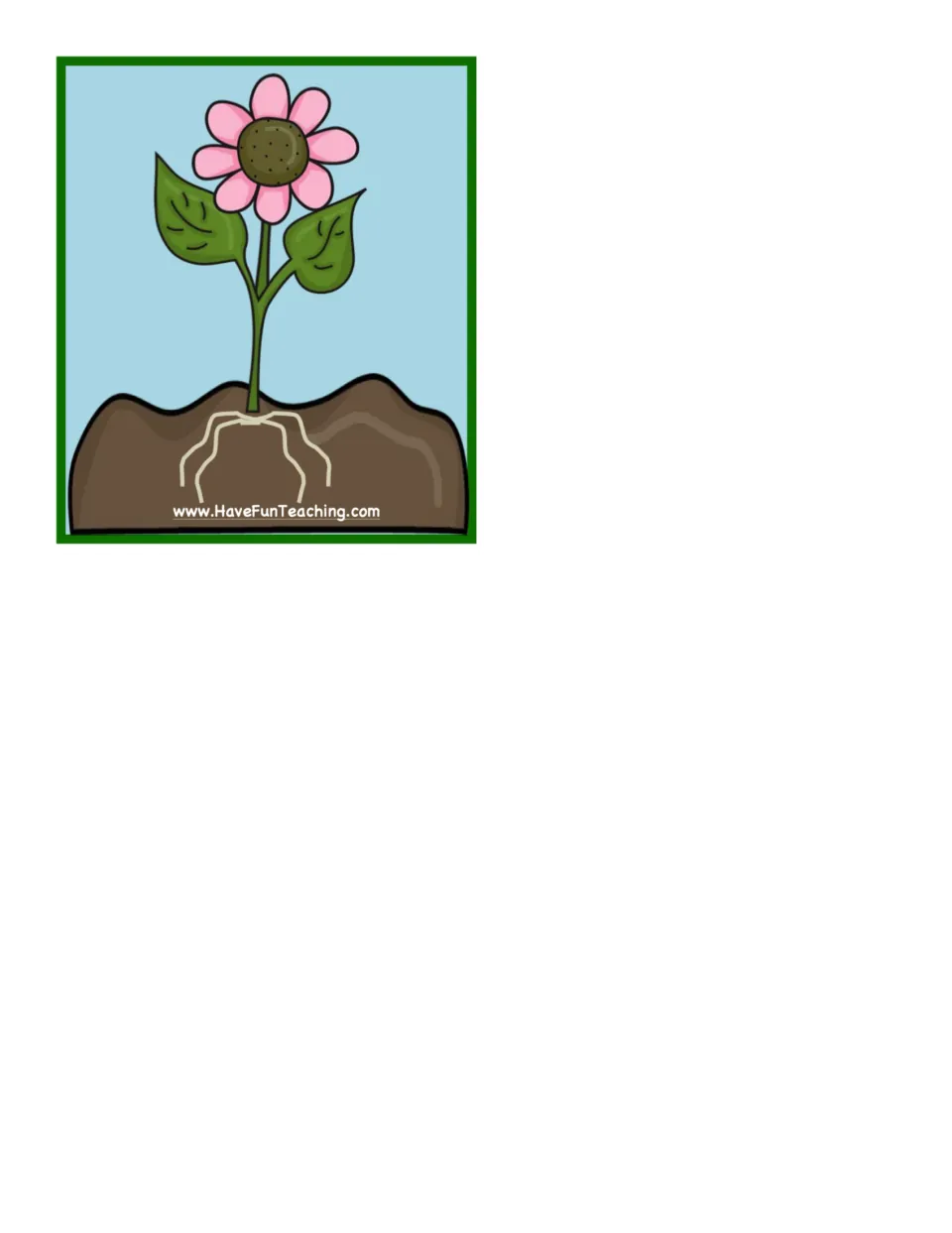 Final card in the five-card flower growth sequence shows a blooming plant with petals, leaves, stem, and roots