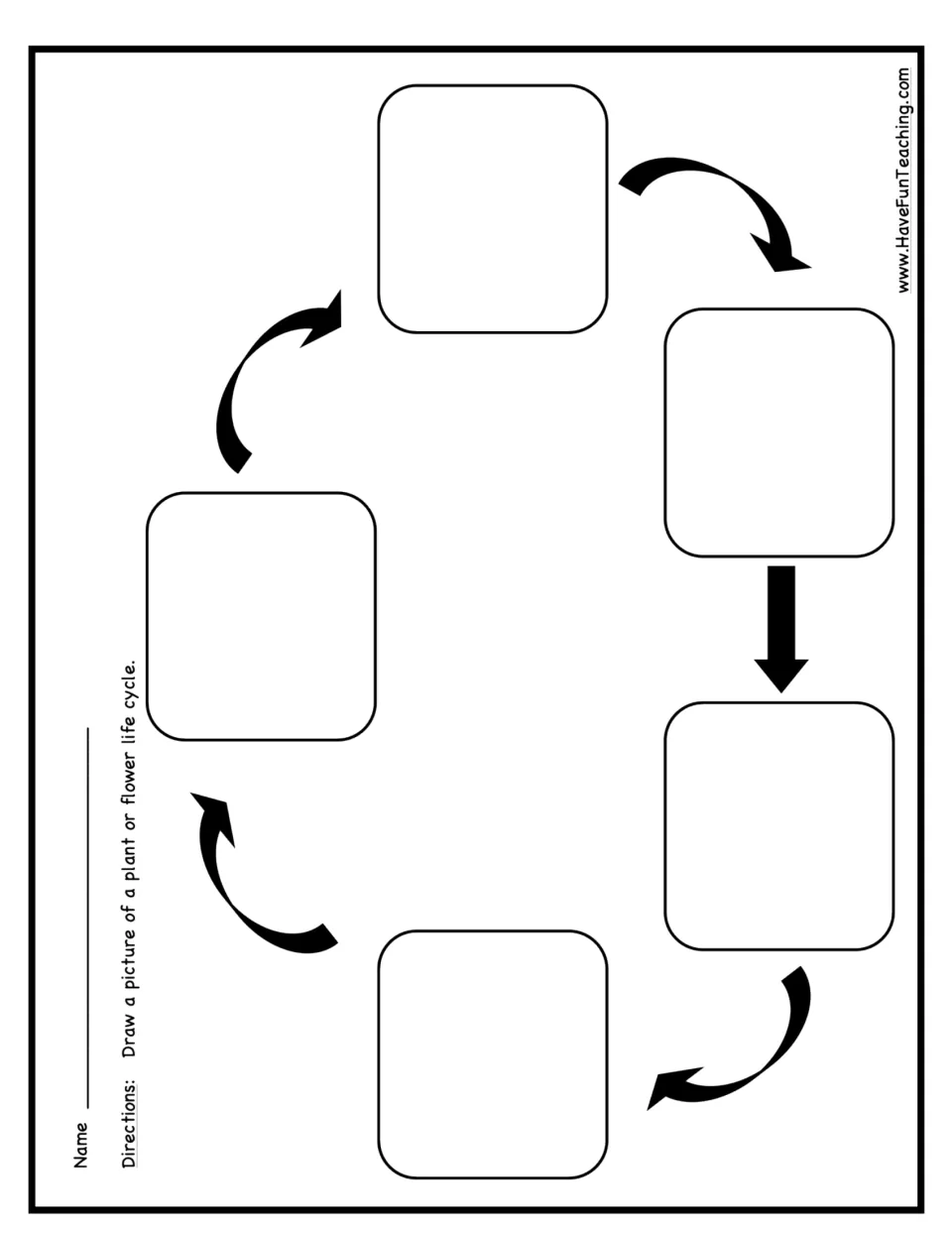 Flower growth recording worksheet asks students to draw five stages of a plant or flower life cycle