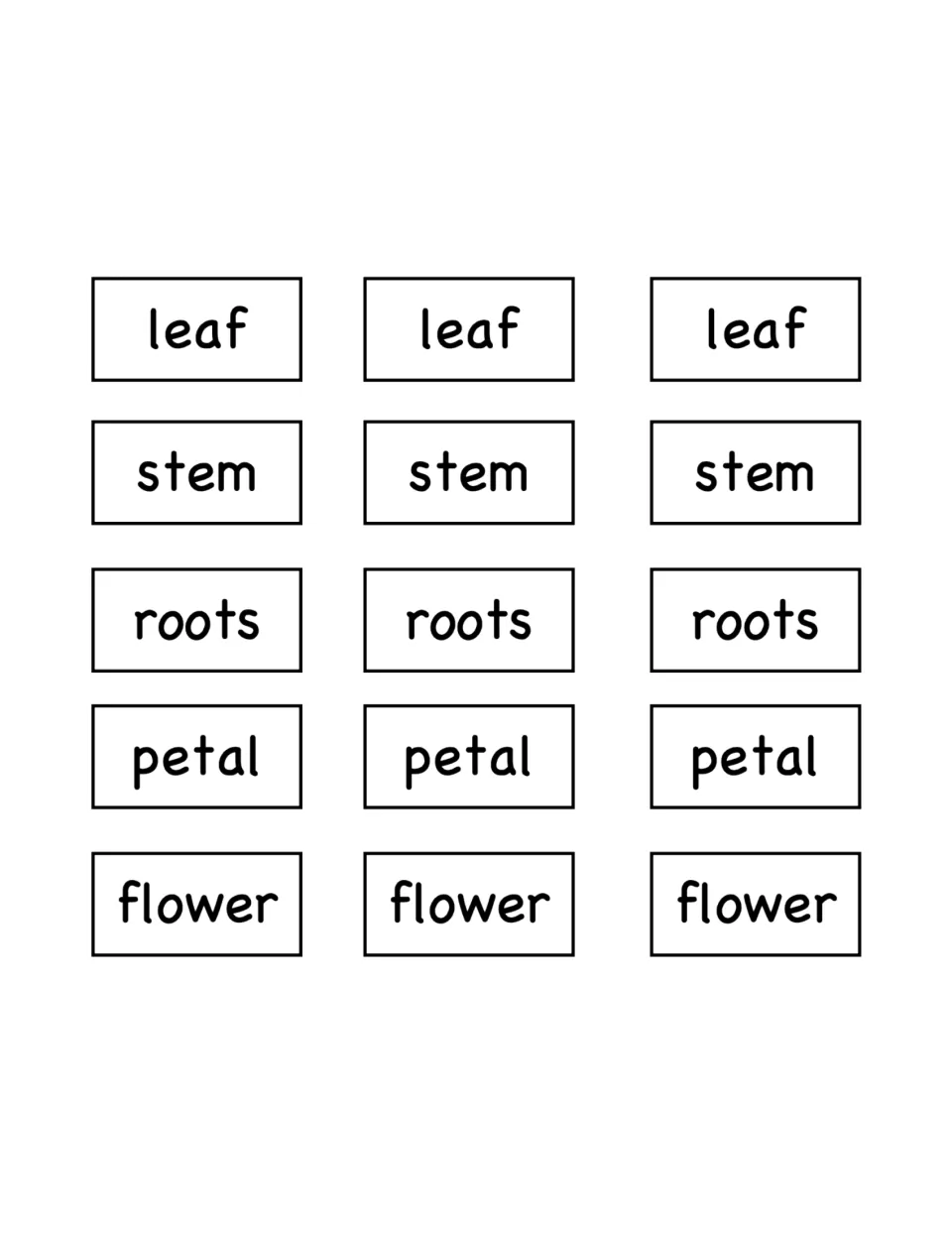 Flower labeling word cards provide three copies each of leaf, stem, roots, petal, and flower, totaling 15 cards