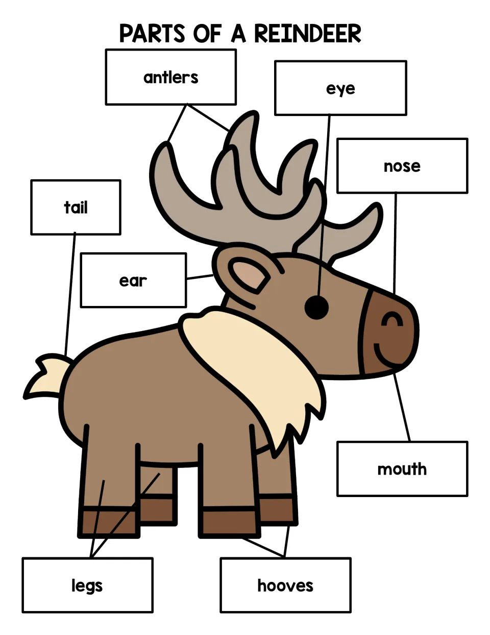 Reference poster labeling eight reindeer parts: antlers, eye, nose, mouth, ear, tail, legs, and hooves.