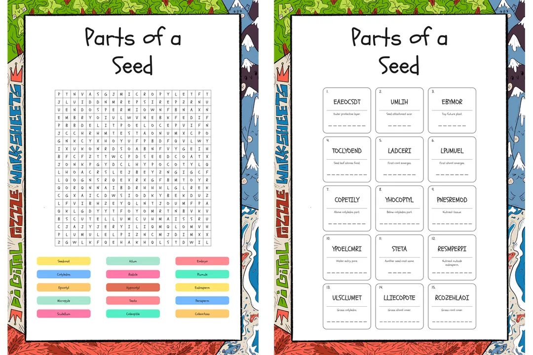 Seed With Three Letters – cover