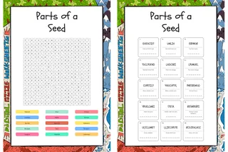 Seed With Three Letters – cover
