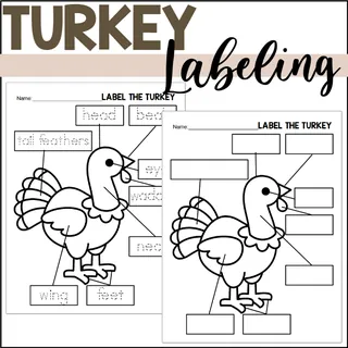 Parts of a Turkey: Labeling a Turkey – cover