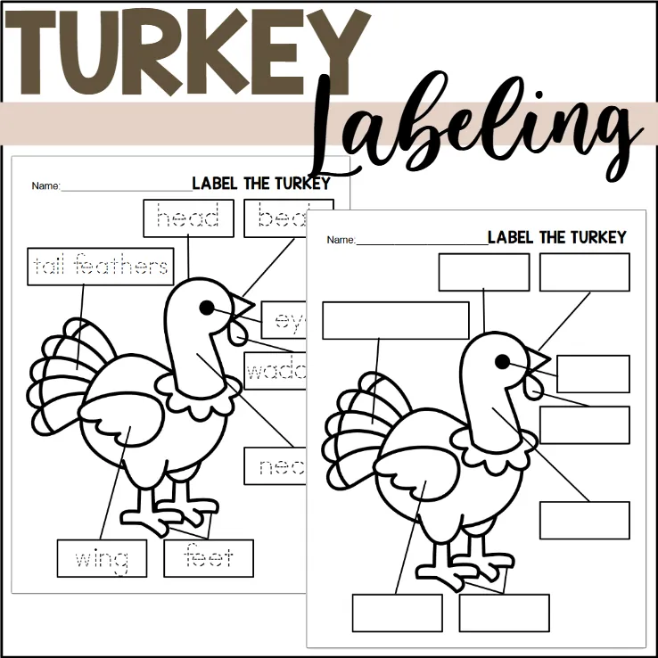 Parts of a Turkey: Labeling a Turkey – cover