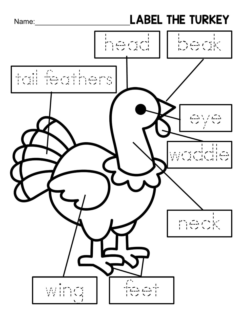 Label the turkey: students trace dotted words head, beak, eye, waddle, neck, wing, feet and tail feathers on an outline