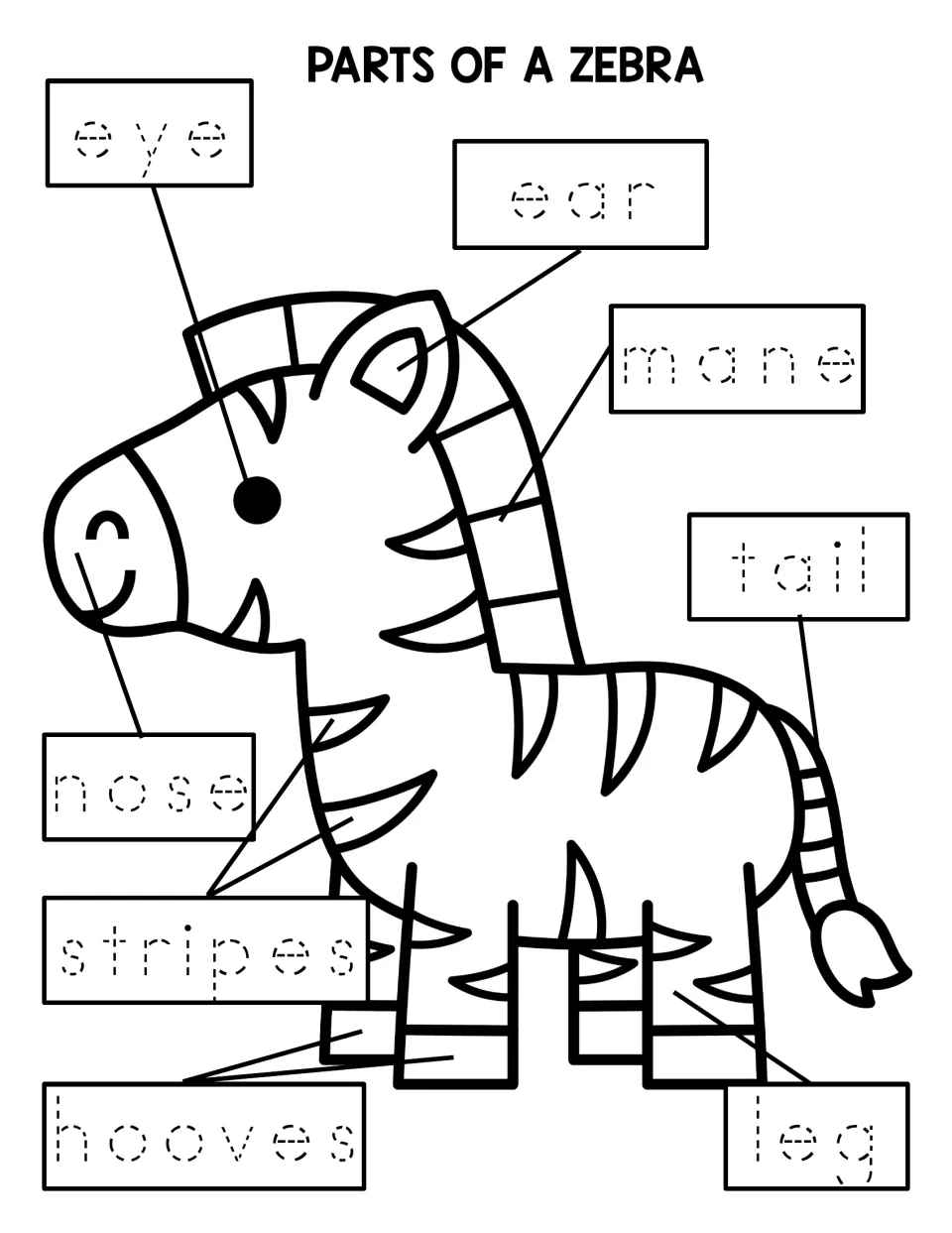 Zebra labeling worksheet for tracing eight words: eye, ear, mane, tail, nose, stripes, hooves, and leg.