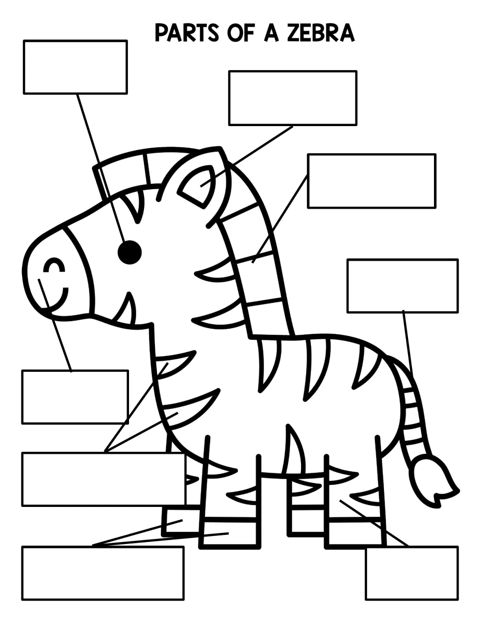 Zebra labeling worksheet for writing the eight parts, using the same animal diagram as the reference poster.