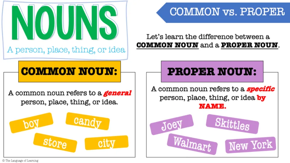 Common versus proper nouns: general names like boy and city compared with specific names like Joey and New York
