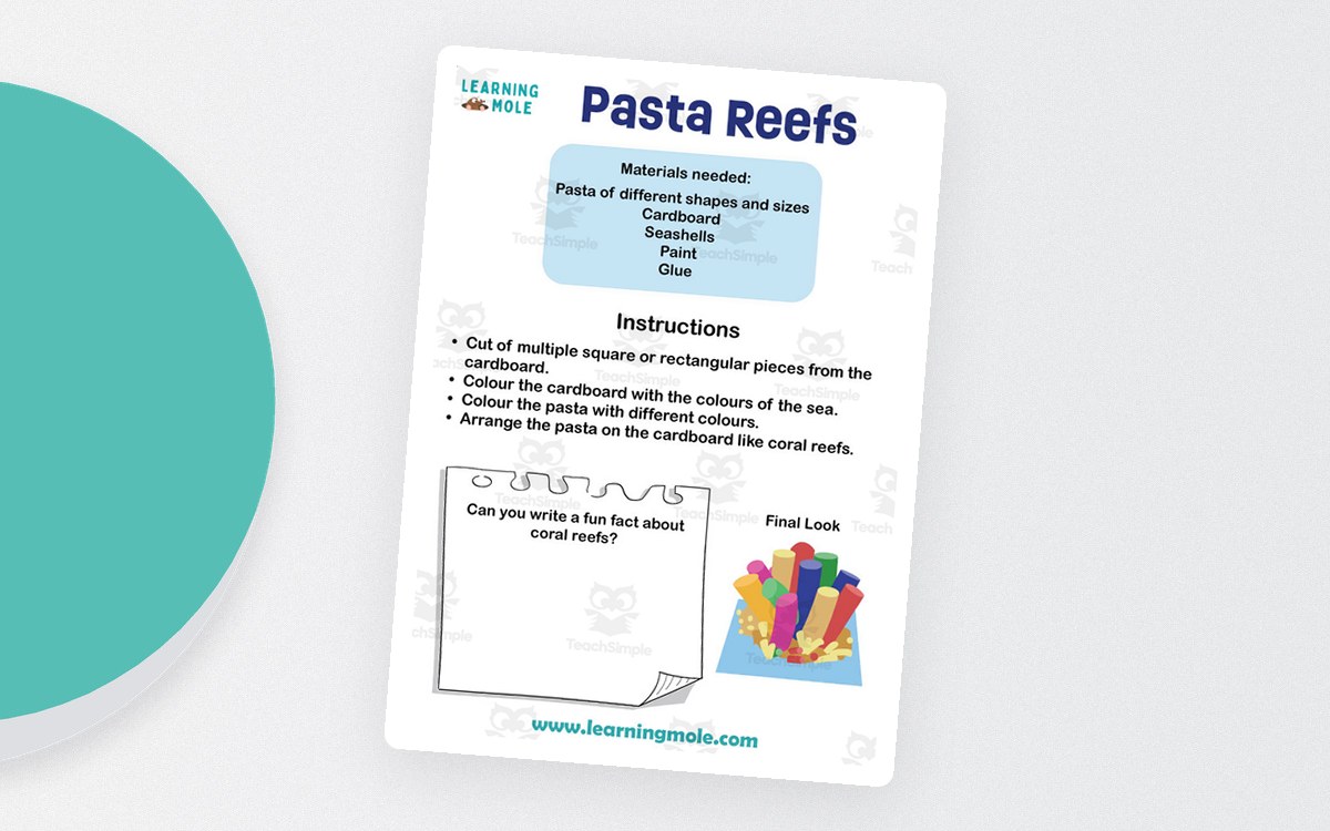 Pasta Reefs Activity preview