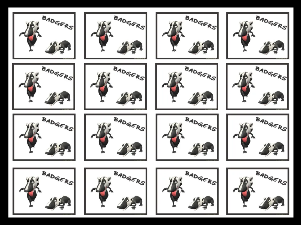 Sixteen matching Badgers mini cards, each showing two badgers and the group name for student grouping