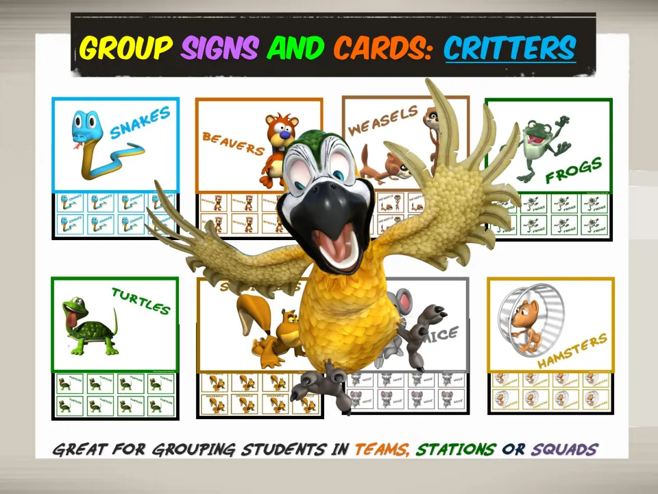 Cover of the critter grouping set, showing animal signs and matching cards for teams, stations, or squads