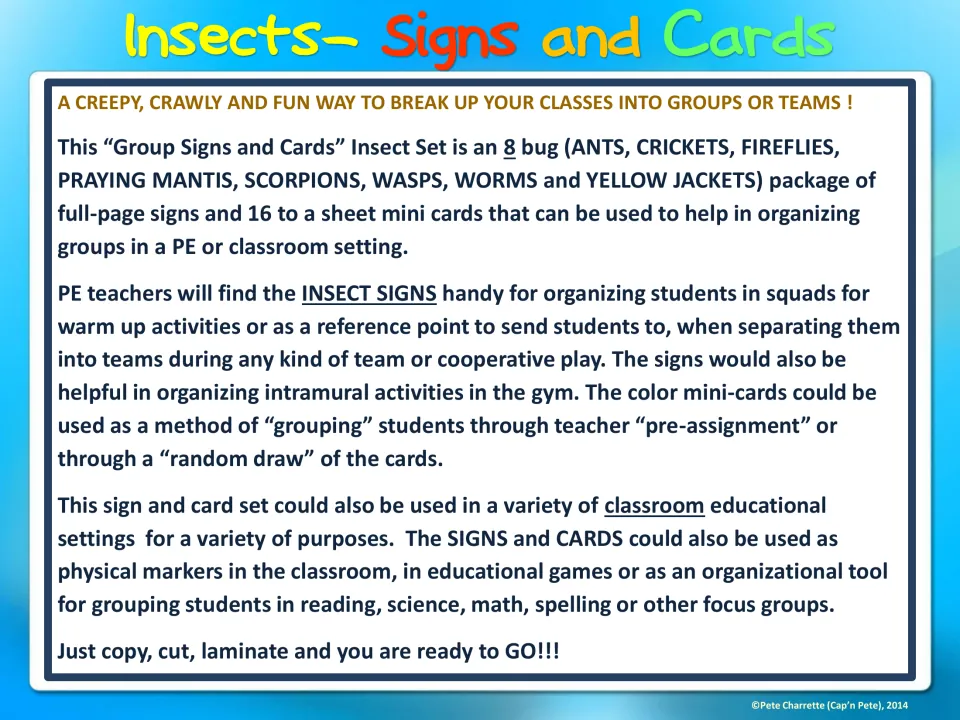 Introduction explaining eight bug-themed signs and matching mini cards for organizing PE and classroom groups