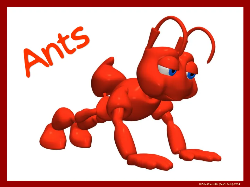 Full-page Ants group sign featuring a red cartoon ant for identifying a student group in PE or the classroom