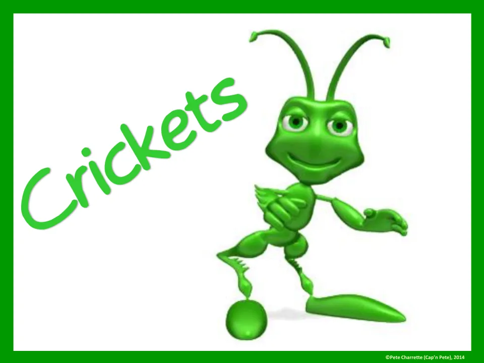 Full-page Crickets group sign featuring a green cartoon cricket for identifying a PE or classroom group