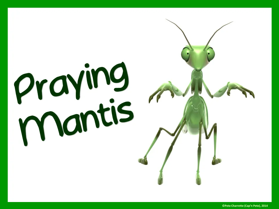 Full-page Praying Mantis group sign featuring a green mantis for identifying a PE or classroom student group