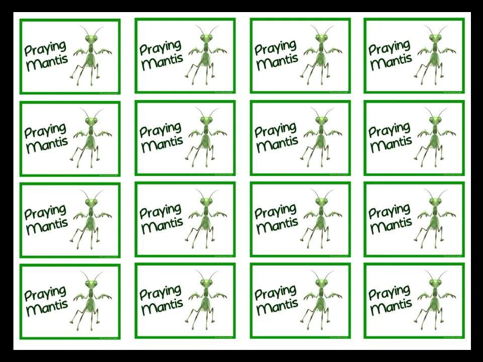 Sheet of 16 matching Praying Mantis mini cards, each labeled Praying Mantis with a green mantis for grouping
