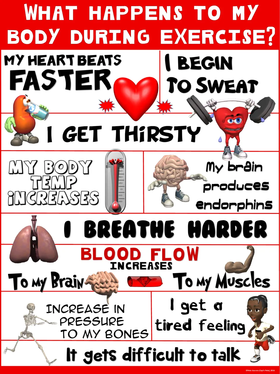 Red version on exercise and the body: more blood flow to brain and muscles, bone pressure, tired feeling, hard to talk