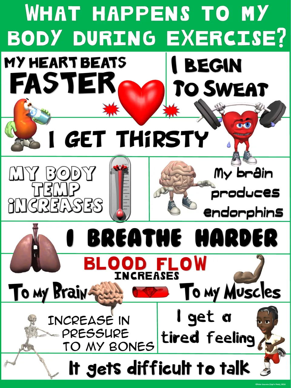 Green exercise-effects poster: cartoon heart lifting weights, thermometer, lungs and brain illustrate how the body responds