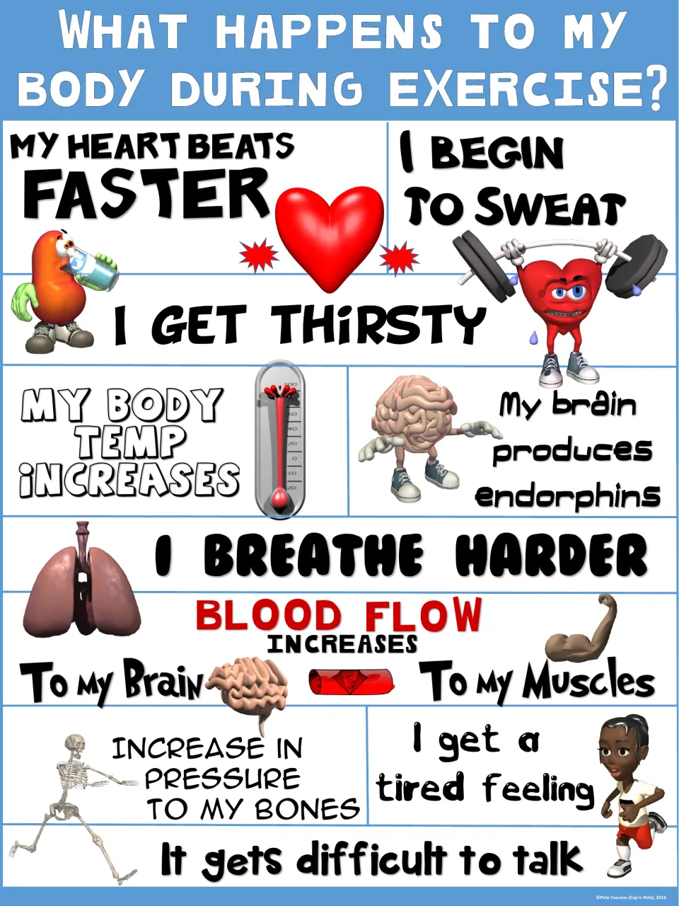 Light blue body-during-exercise poster with 10 reactions, including sweating, harder breathing and brain making endorphins