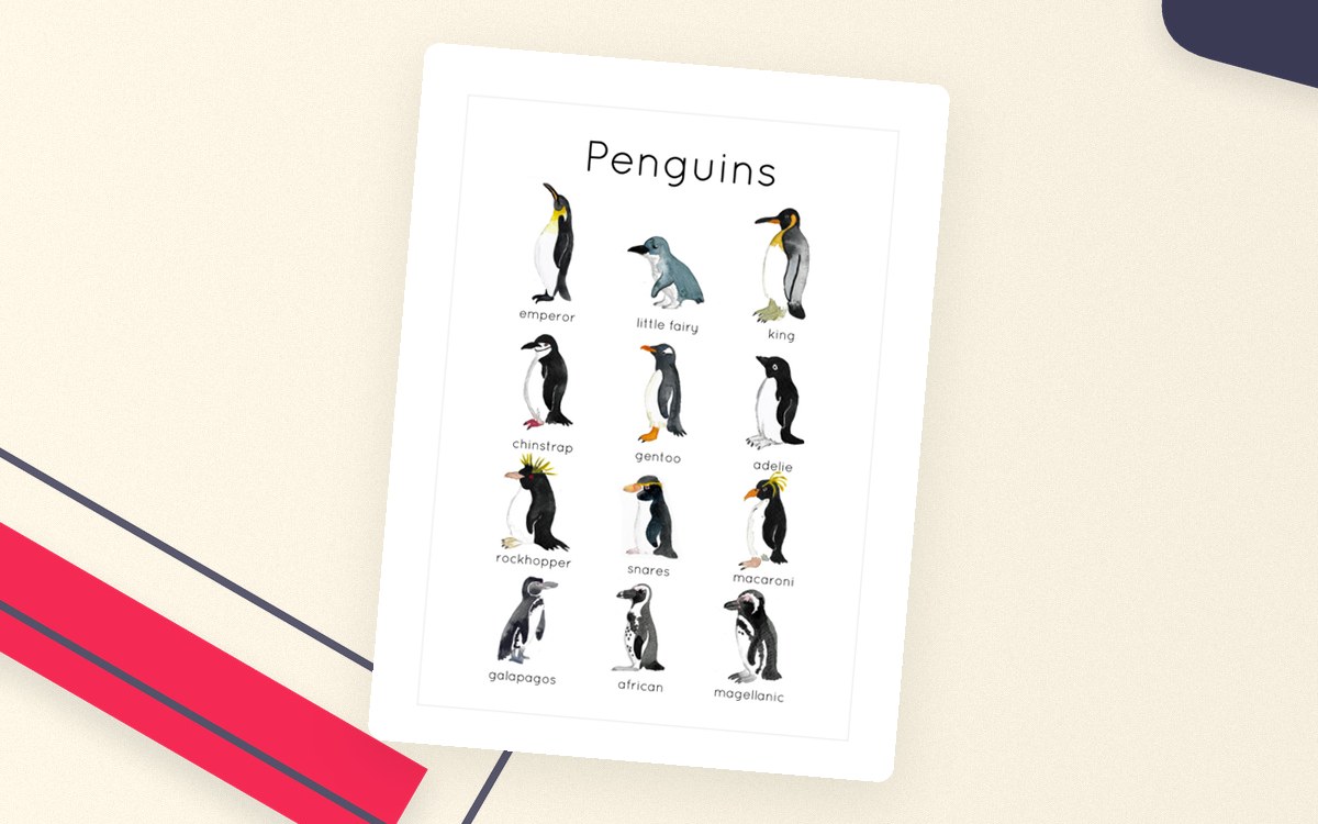 Penguin Flashcards poster preview.
