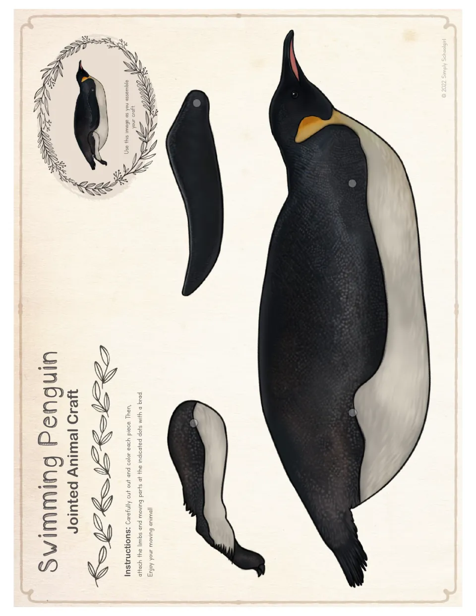 Swimming penguin in full color, beak pointed up: students cut out body, flipper and leg and fasten with brads at the dots