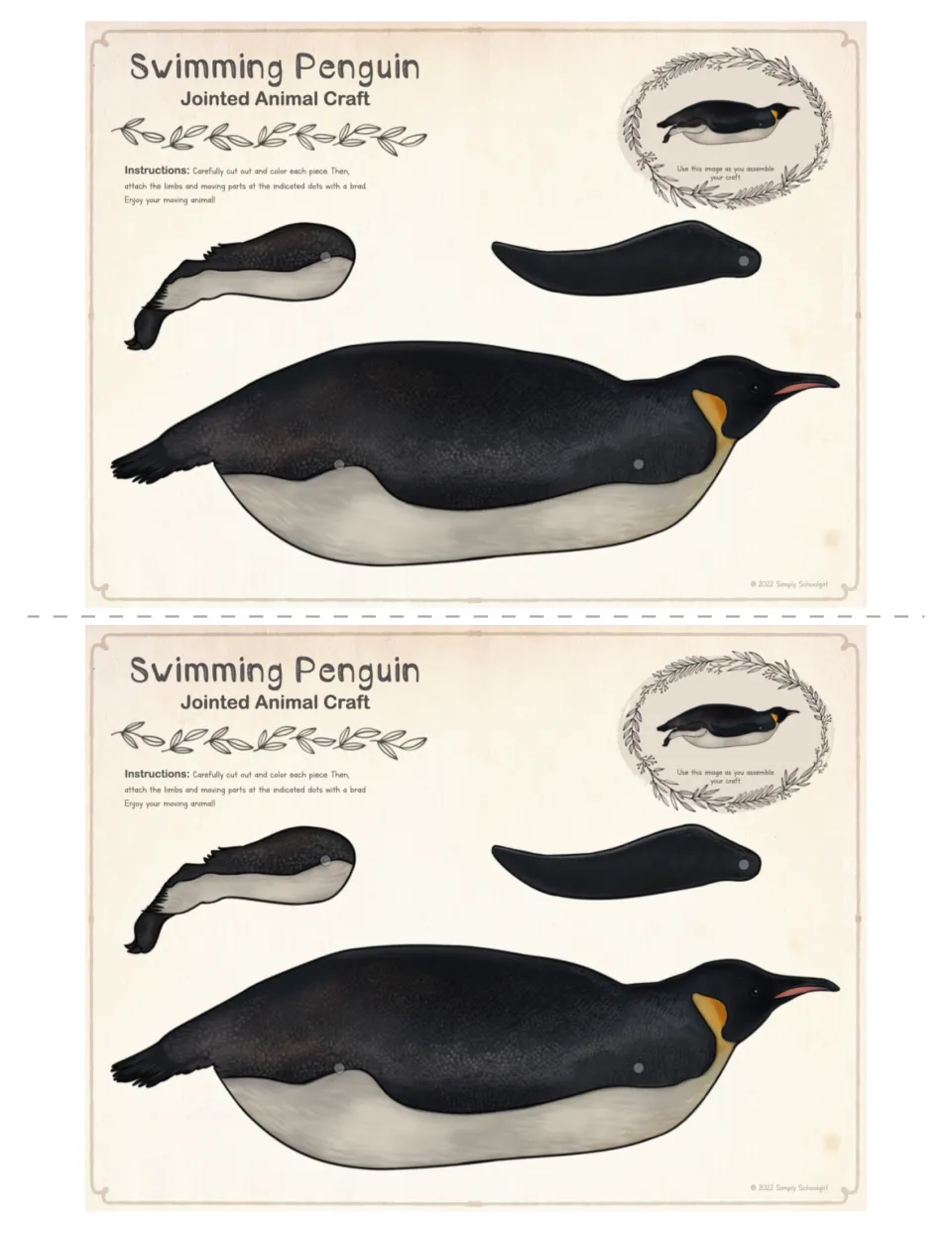 Two half-size colored swimming penguin sets, lying flat: students cut along the dashed line, cut out and brad each penguin