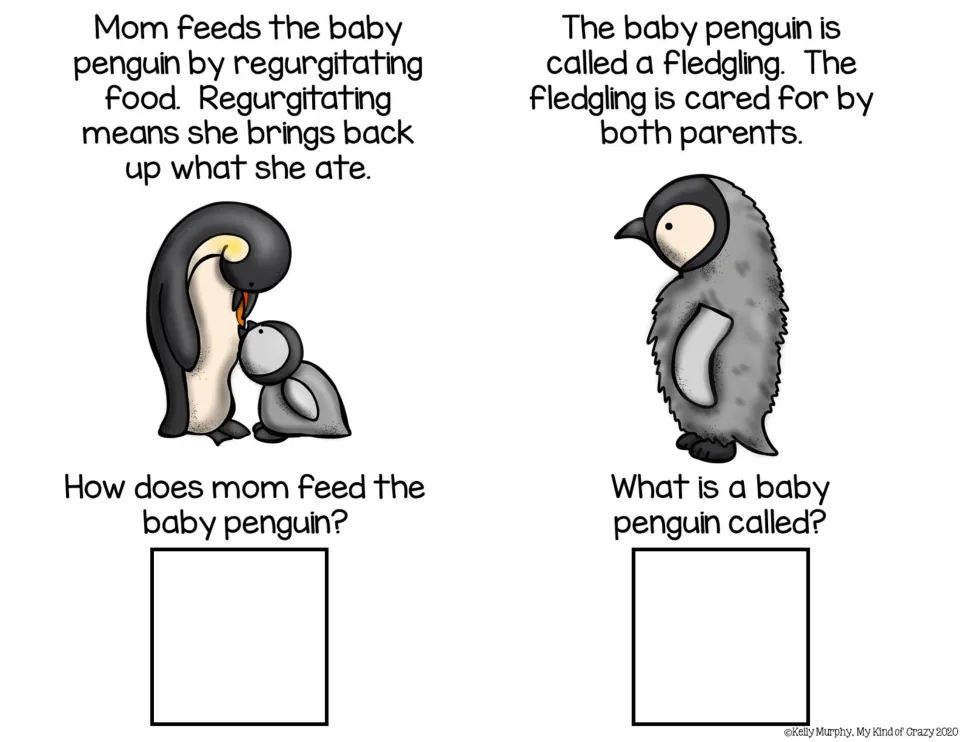 Adapted book sections 9–10 describe regurgitating food and use 'fledgling' as the name for a baby penguin