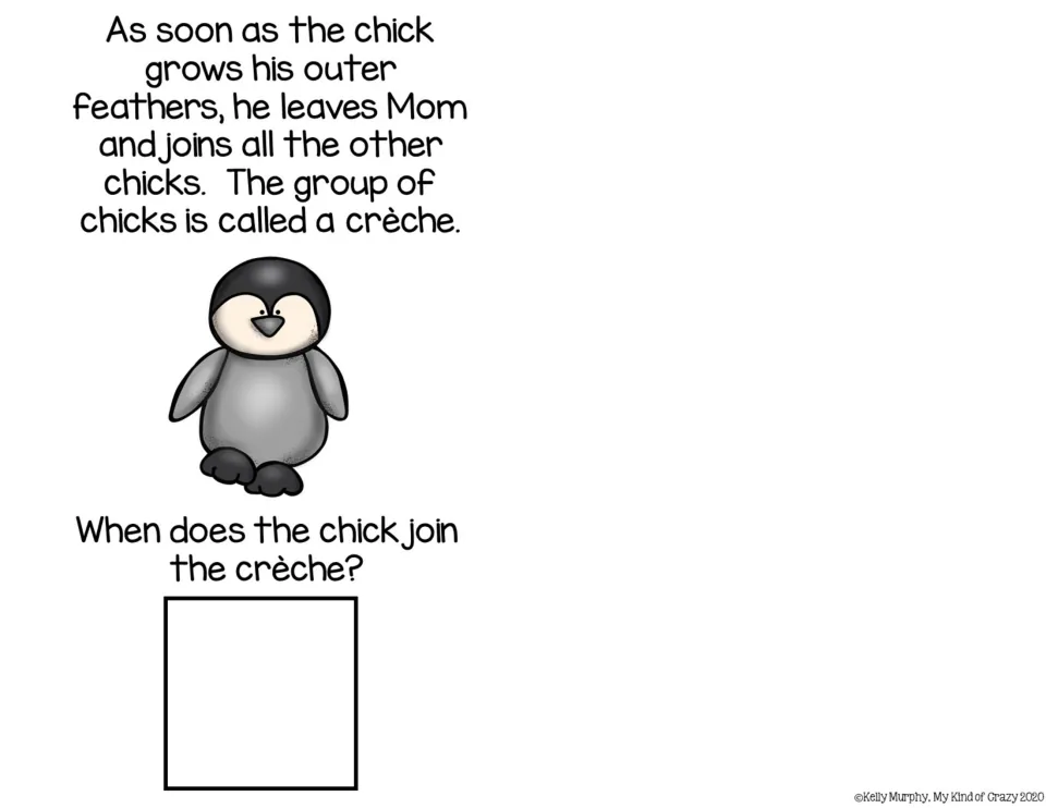 Adapted book section 11 describes a chick joining a group called a crèche and asks when the chick joins