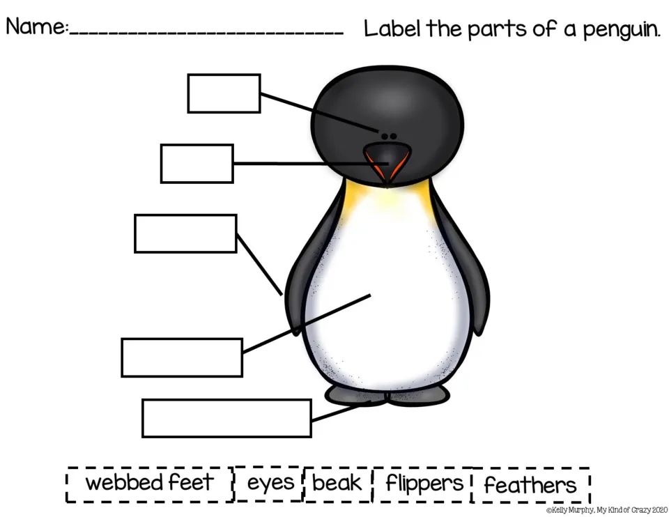 Penguin anatomy labeling worksheet with a penguin diagram and cutout labels for five named body parts