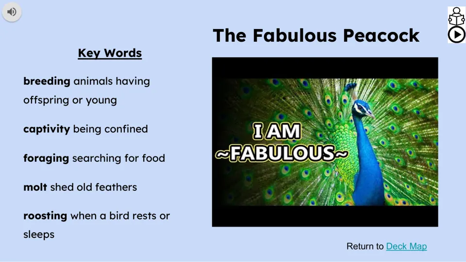 Vocabulary and video slide defines breeding, captivity, foraging, molt, and roosting for the peacock lesson