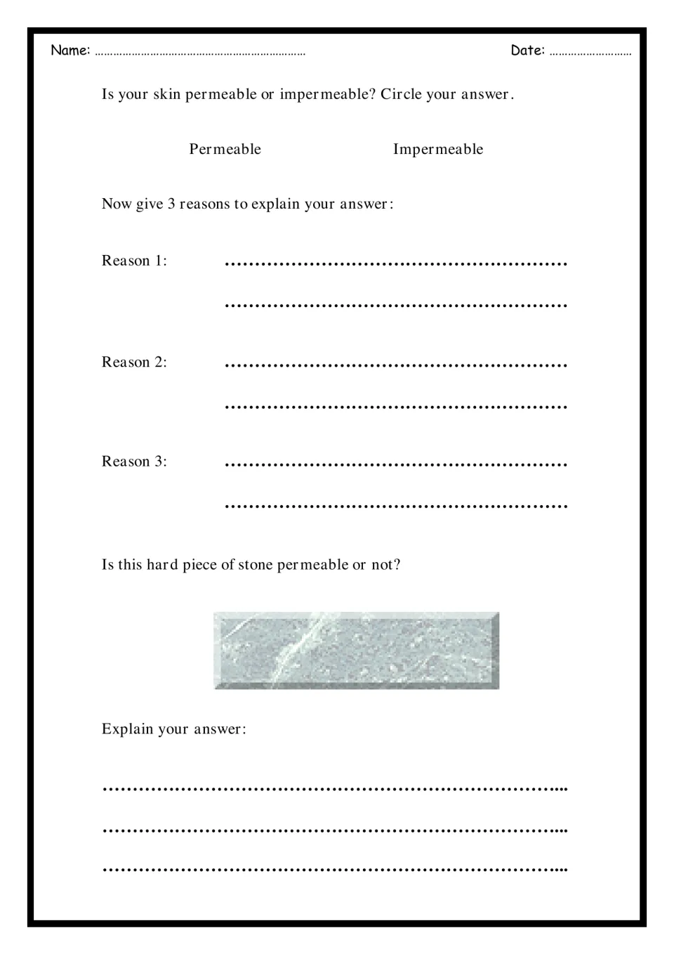 Skin and stone permeability: students circle if skin is permeable, give 3 reasons, then judge a stone block and explain