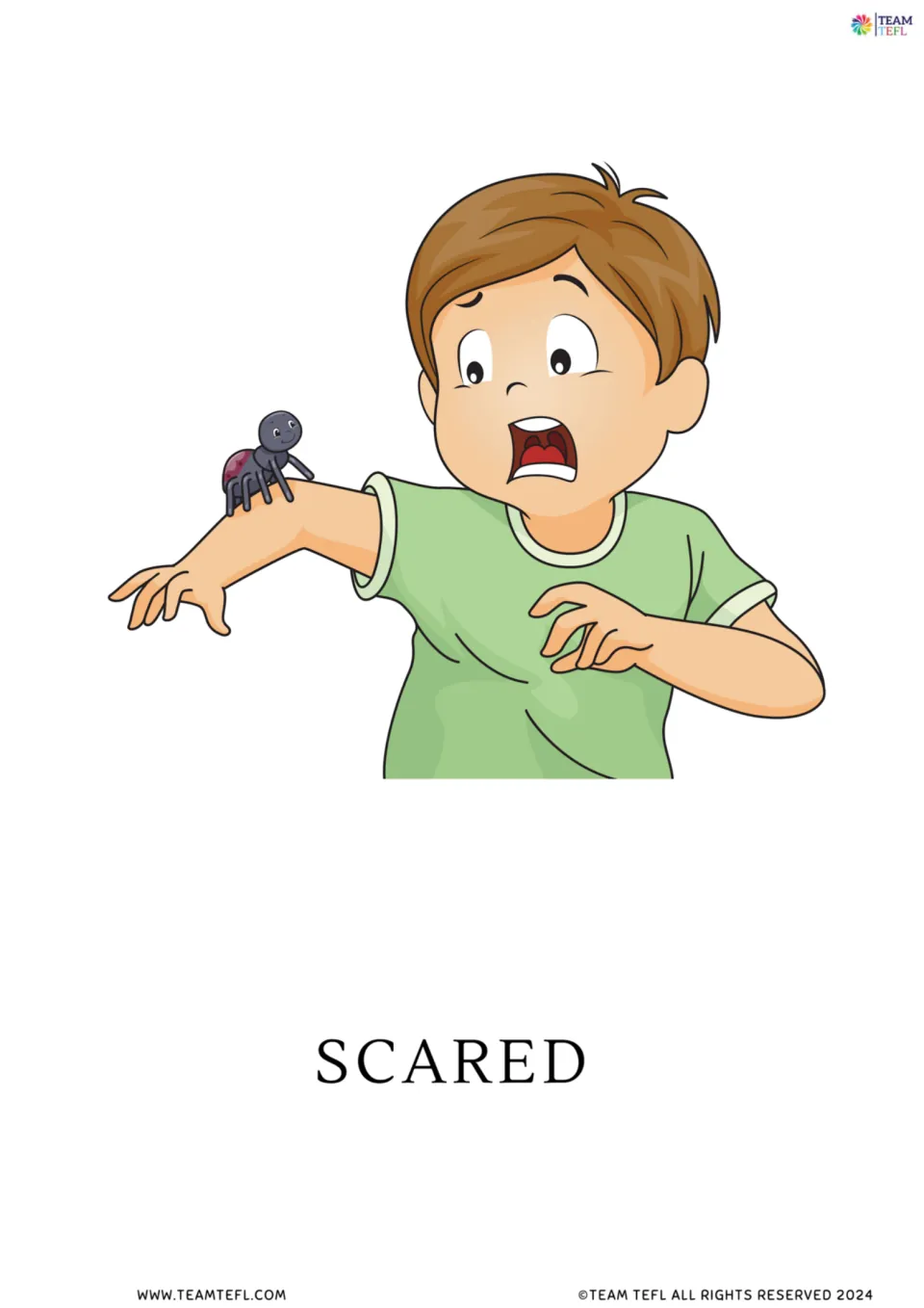 Full-page scared flashcard from the feelings vocabulary set, showing a boy reacting to a spider on his arm
