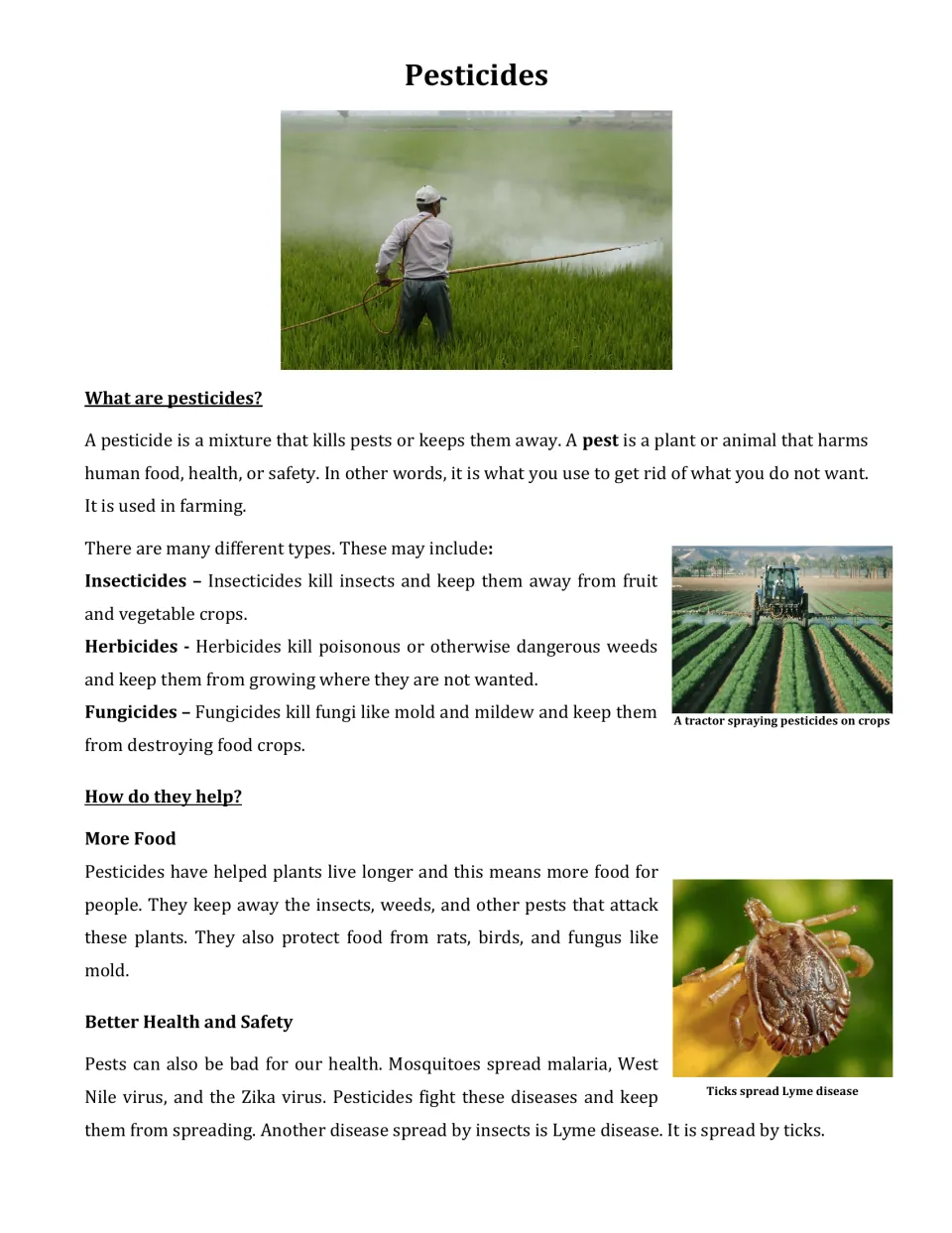 Pesticides passage: students read about pests, insecticides, herbicides, fungicides and how they protect crops and health