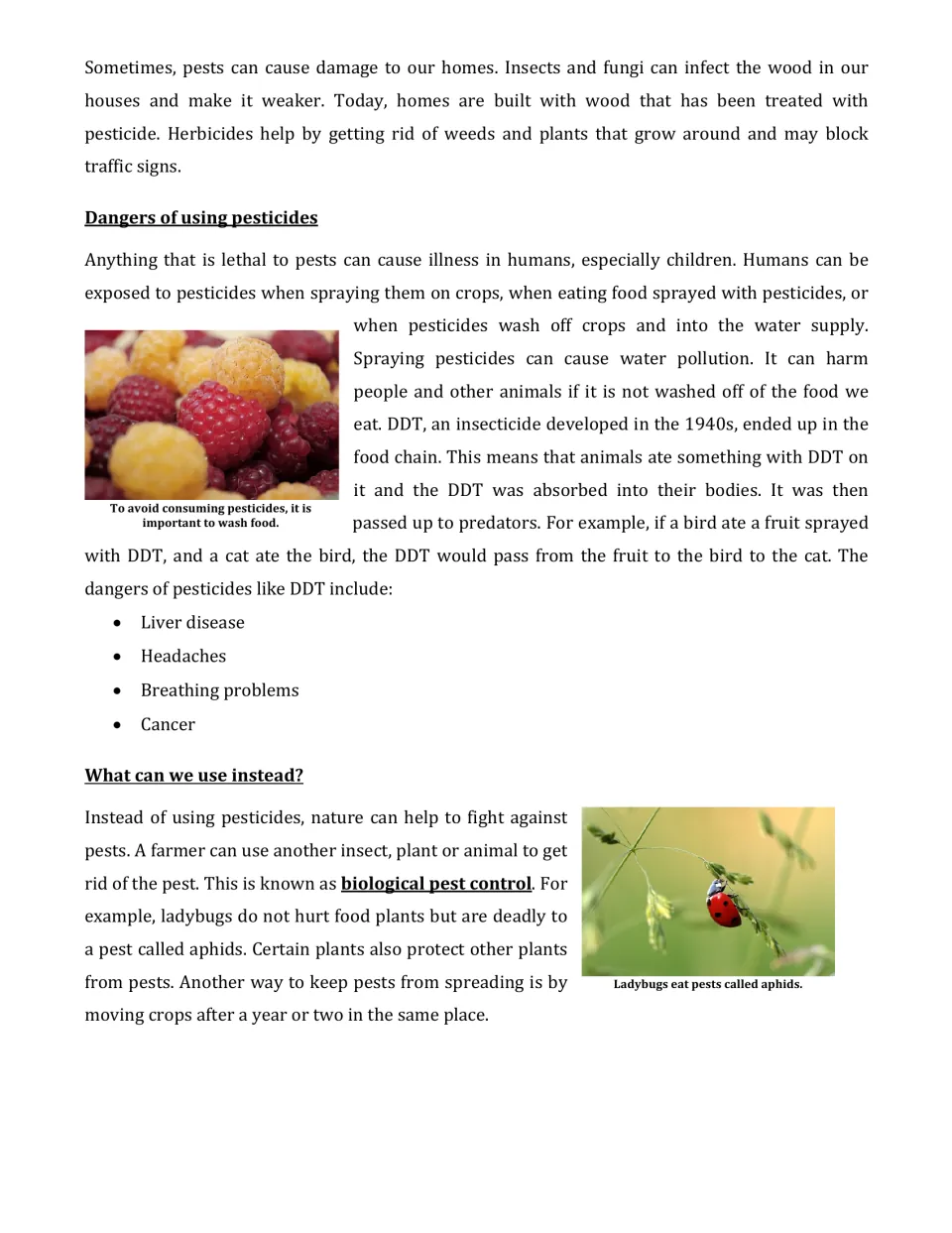 Pesticide dangers: students read about DDT in the food chain, health risks and ladybugs as biological pest control