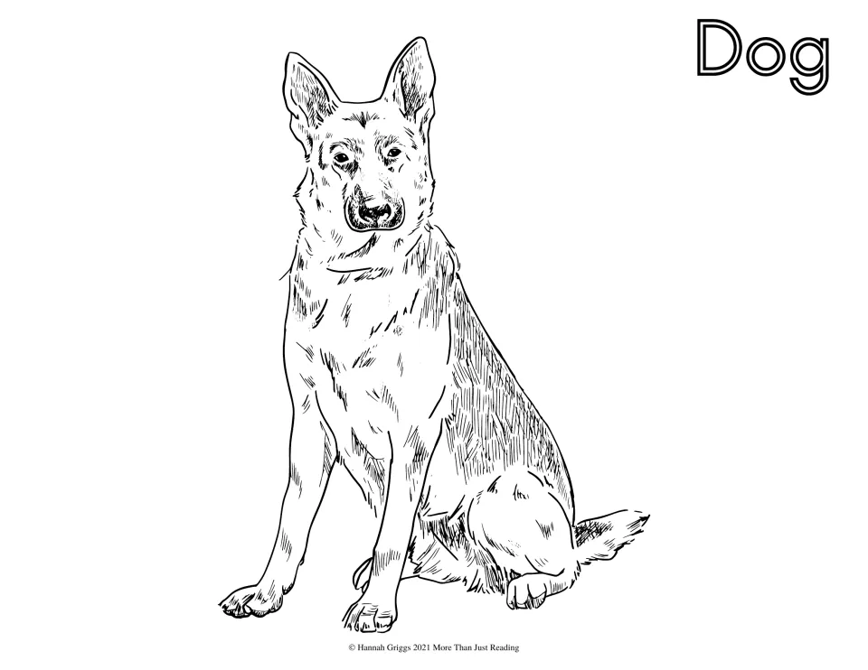 Dog coloring page: students color a detailed sketch of a sitting dog with upright ears, labeled Dog in outline letters