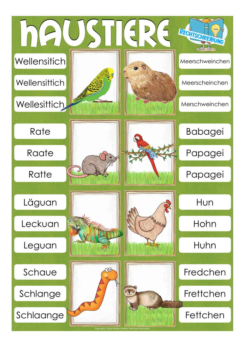 Spelling items 9–16: German names for budgie, guinea pig, rat, parrot, iguana, hen, snake, and ferret