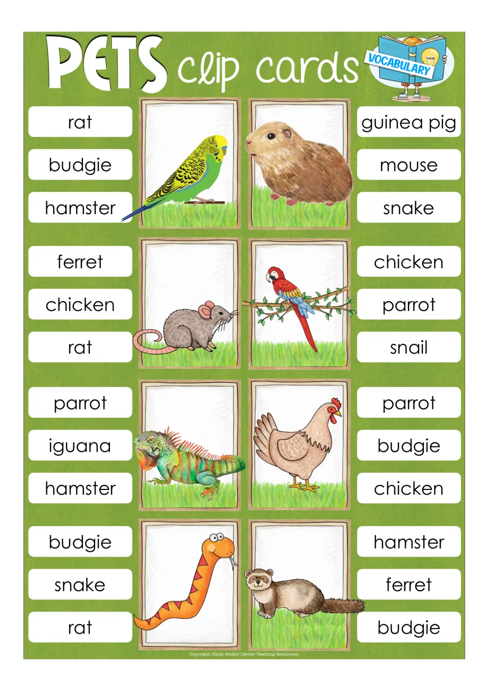 More pet vocabulary cards: students clip the name for a budgie, guinea pig, rat, parrot, iguana, chicken, snake and ferret
