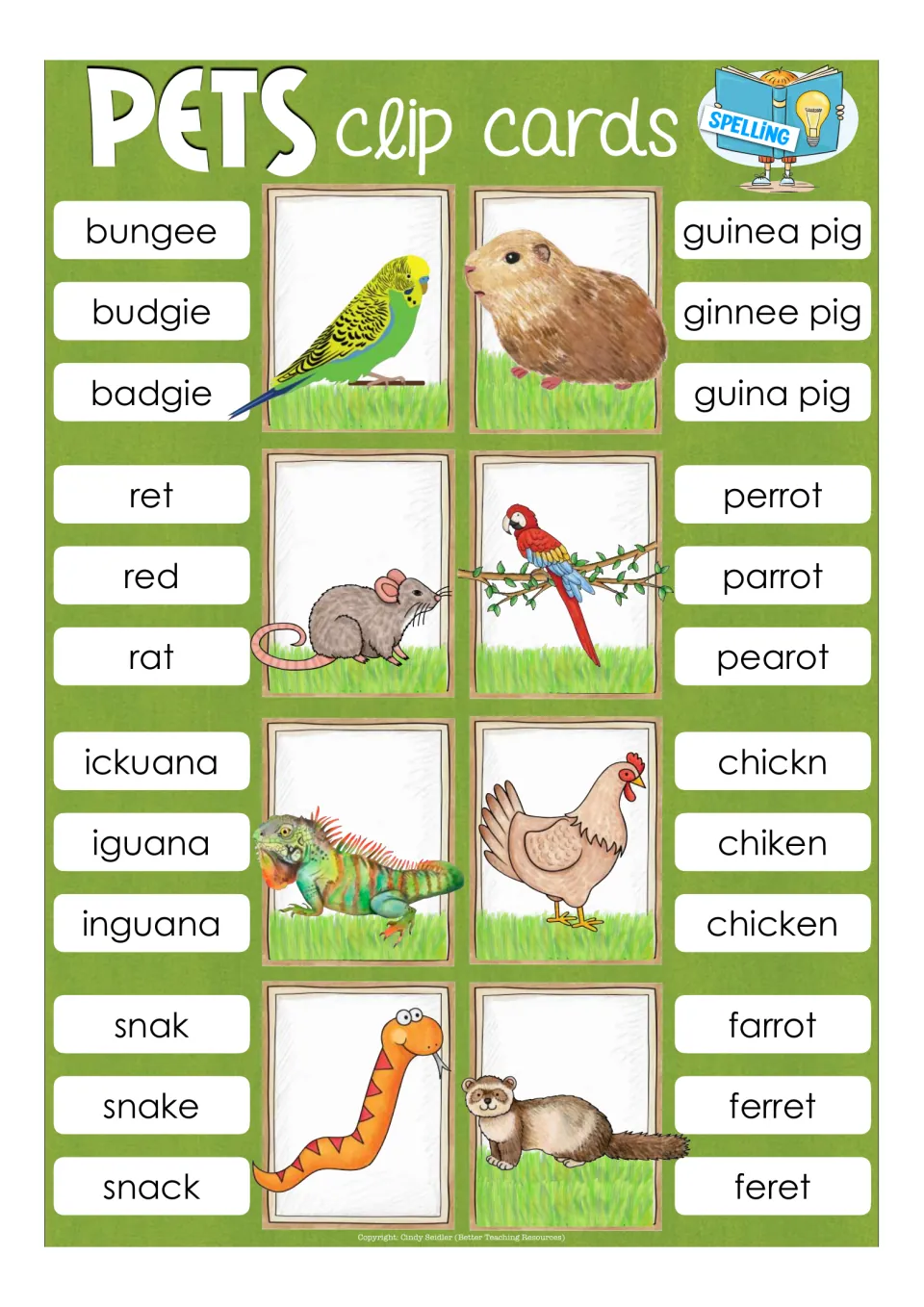 Pet spelling cards: students clip the spelling for budgie, guinea pig, rat, parrot, iguana, chicken, snake and ferret