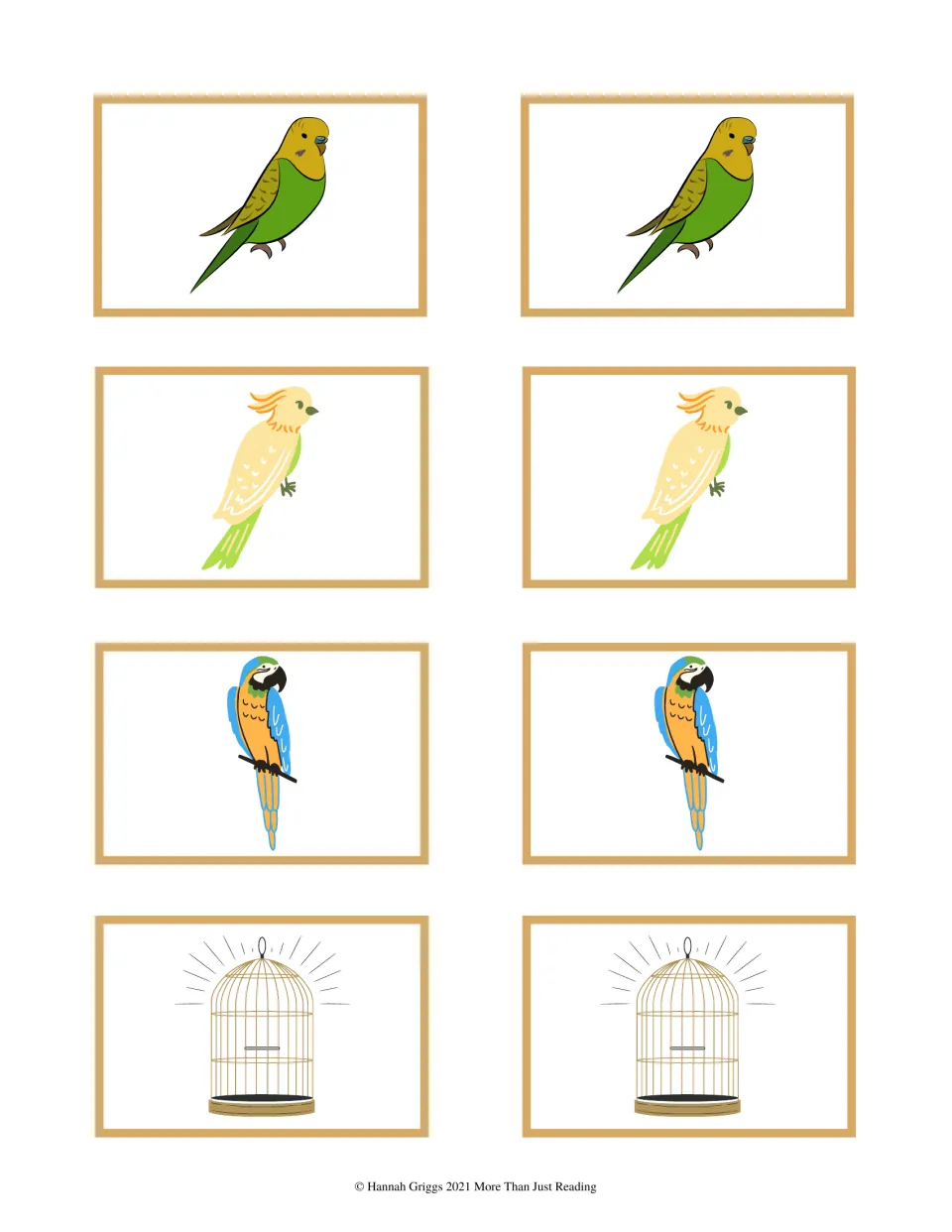 Pet bird matching cards: two each of a green budgie, a cockatoo, a blue and gold macaw and an empty birdcage