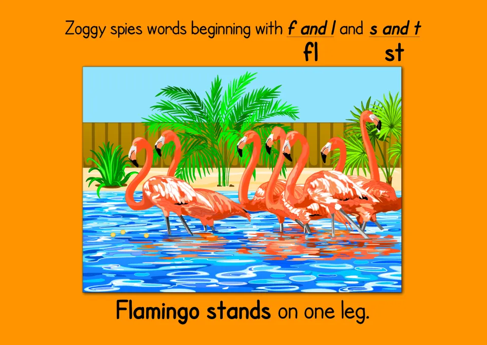 Blends fl and st: students read 'Flamingo stands on one leg.' beside a picture of flamingos wading in a pool