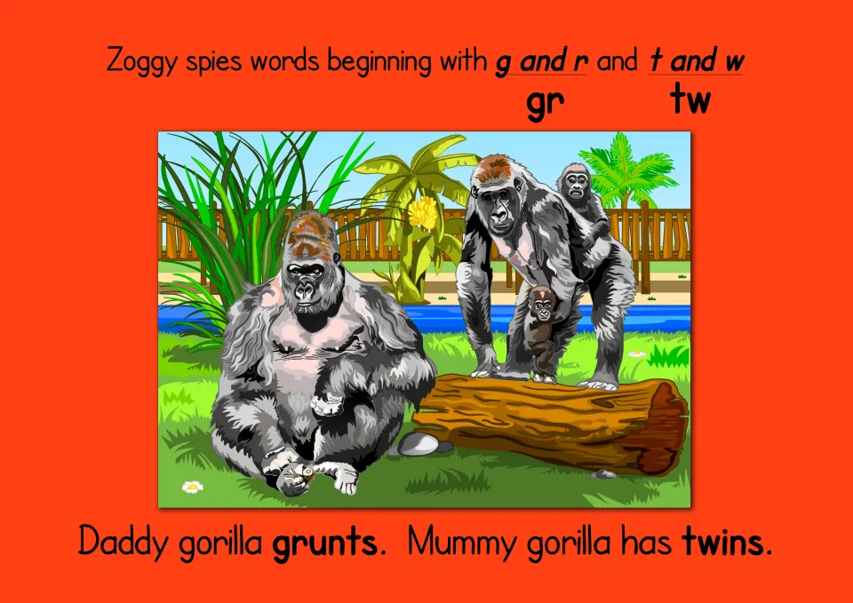 Blends gr and tw: students read 'Daddy gorilla grunts. Mummy gorilla has twins.' under a scene of a gorilla family