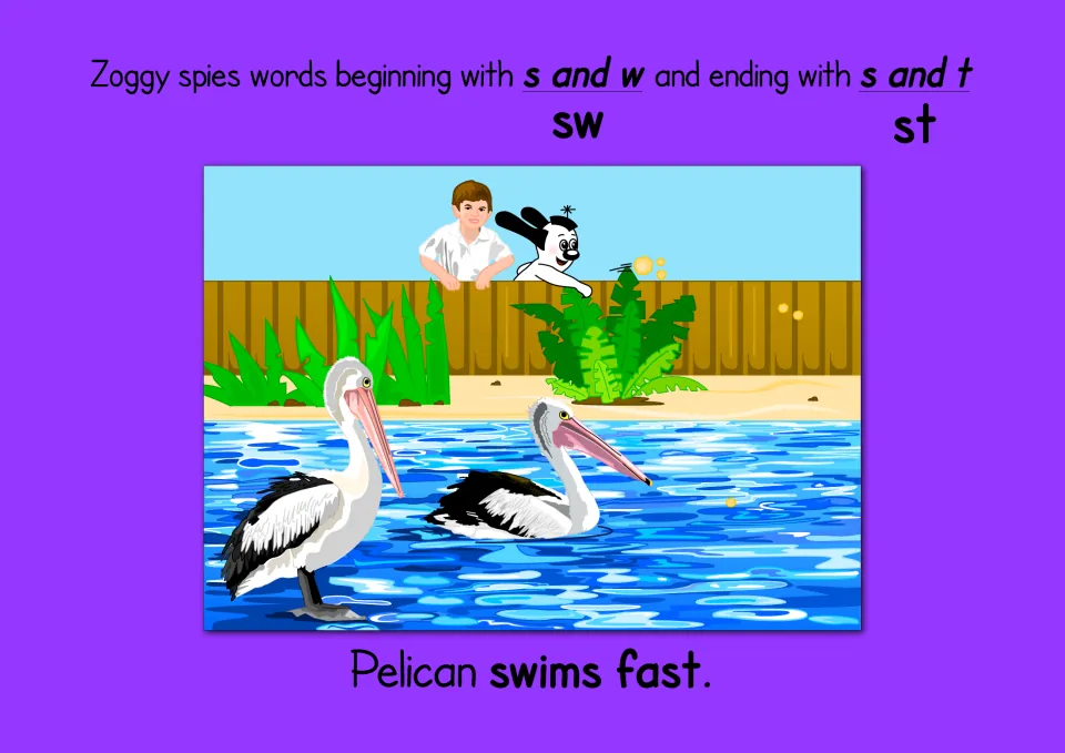 Initial sw and final st blends: students read 'Pelican swims fast.' as Zoggy and a boy watch two pelicans in the water