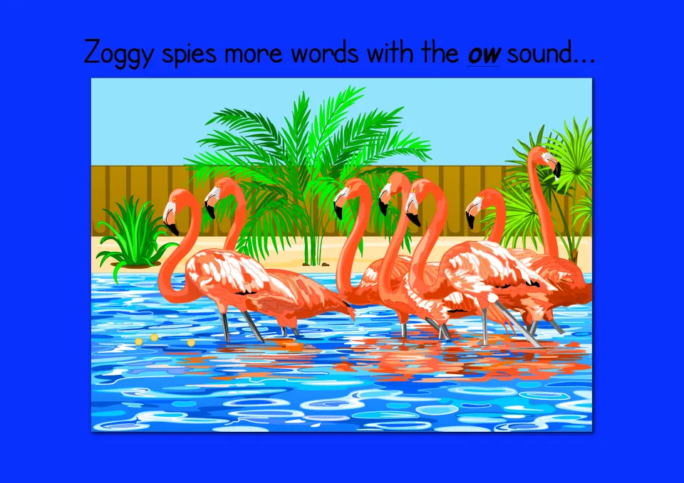 More ow words: picture of a group of pink flamingos wading in blue water by palm plants at the zoo