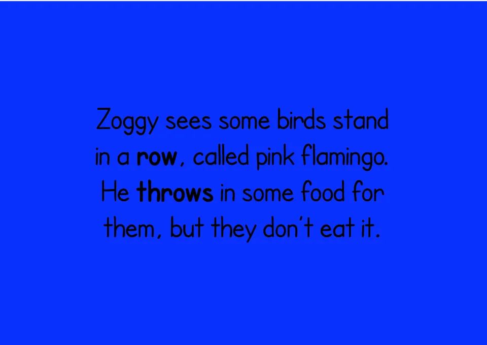 Flamingo story text for ow as in slow: Zoggy sees birds in a row and throws food, with row and throws in bold