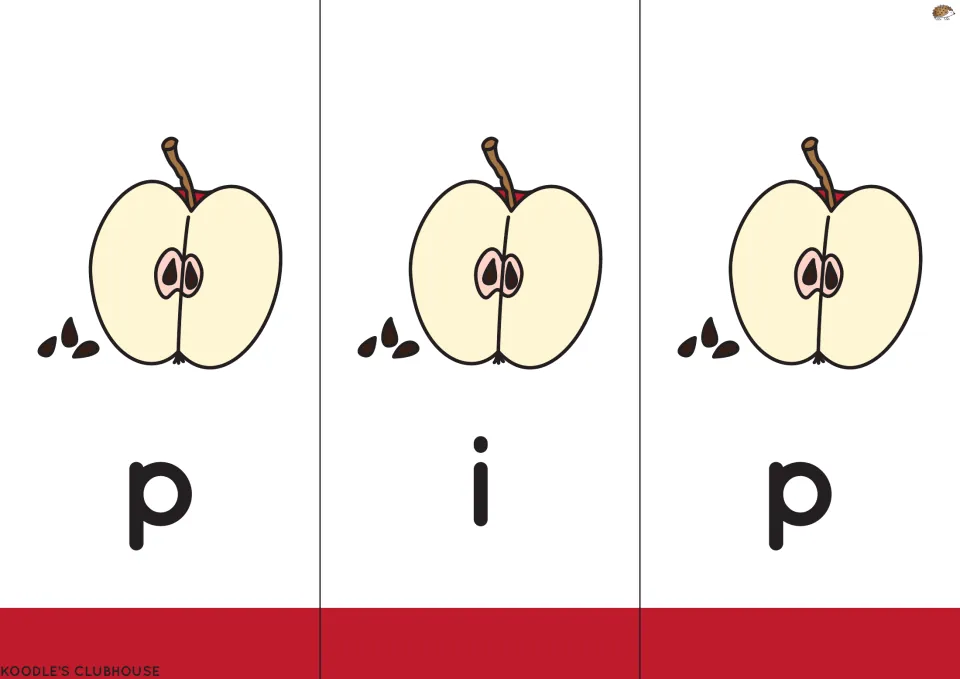 Reading-set flipbook word pip: letters p, i, p paired with apple halves and seeds for three letter flaps